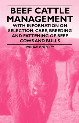 Beef in Ethiopia: challenges revealed in new report